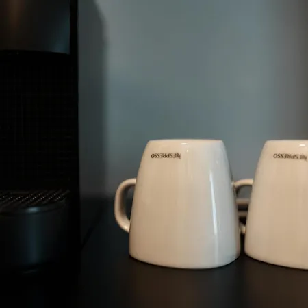 Hotel Gramofon Iordachianu